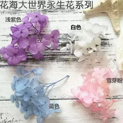 Huahai big world DIY wedding makeup photo props Garland material headdress forever flower dry flower small hydrangea