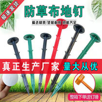 Plastic ground nail plus coarse lengthened fruit gardening ground cloth nail larch shed mulch cloth weeding cloth anti-grass cloth ground nail