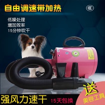 Pet Blow Water Machine Dog Hair Dryer Large Dog Special High Power Silent Blow Wool Machine Teddy Gold Wool Cat Supplies