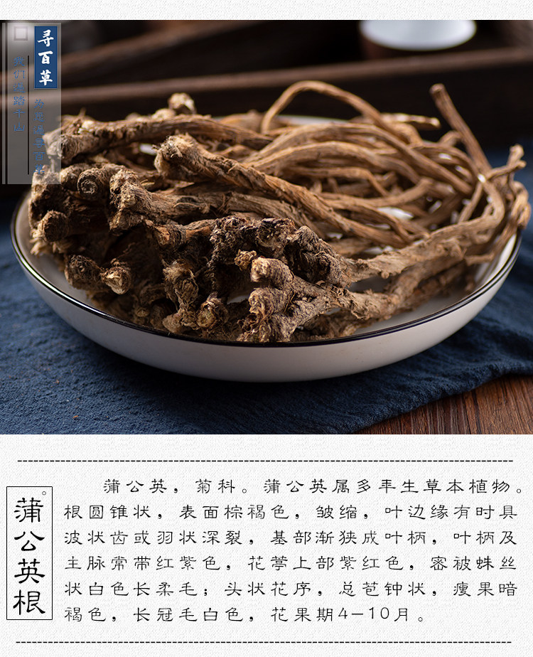 Dandelion root_04.jpg