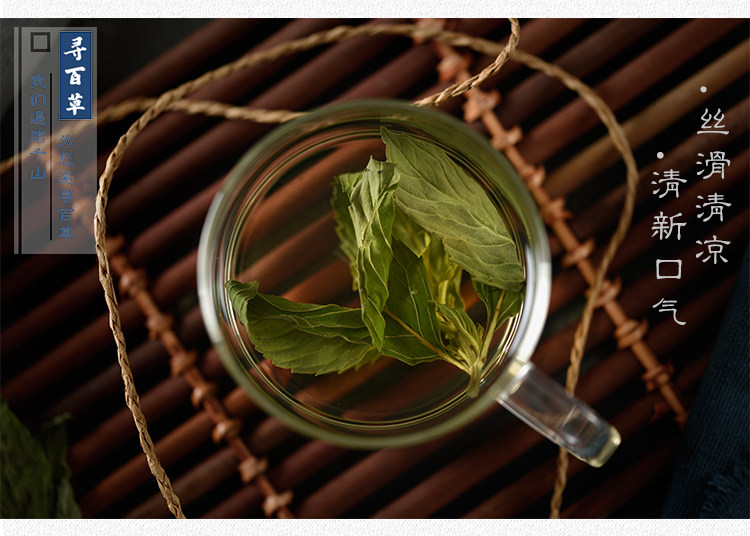 Mint Leaves_10.jpg