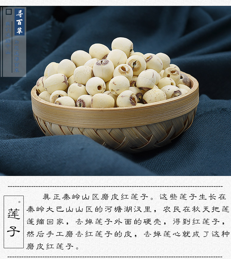 Lotus Seeds_05.jpg