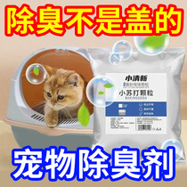 Cat Purifier Sand Deodorant Granules Pet Small Sufight Cat Urine En plus de Taste Indoor Kitty Cat Sand Partner Hygiene and