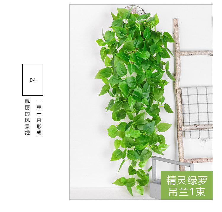 详情图