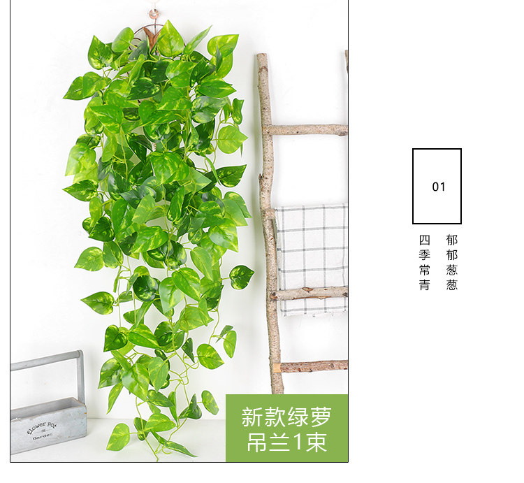 详情图