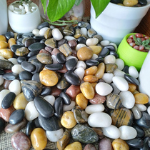 Nanjing cobblestone rain flower stone natural small stone fish tank flower pot decoration potted garden art color stone courtyard original stone