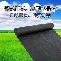 Agricultural anti-grass cloth gardening anti-aging ground cloth orchard fruit tree permeable grass cover grass cloth breathable greenhouse weeding cloth