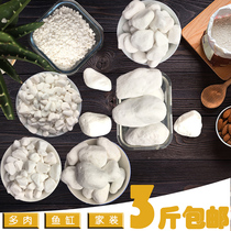 Pebbles Natural Small Stone Rain Flower Stone White Little Stone White Pebble Flower Pot Planting Fleshy Decorative Pavement