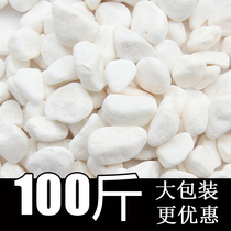 Natural white stone courtyard landscape paving road pebbles fish tank fleshy potted plant paving decoration White size stone