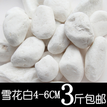 Fleshy decorative pebble flower pot plant paved stone fish tank colorful stone potted Pebble white stone courtyard