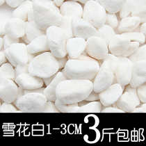 Pebbles Natural Small Stone Rain Flower Stone White Little Stone White Pebble Flower Pot Planting Fleshy Decorative Pavement