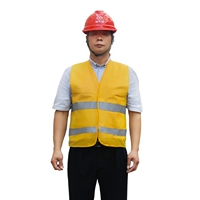 Обычный стиль-Земли желтый