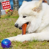 Gigwi Dog Toy Toy Ballestaint Bit