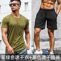 Зеленые черные шорты