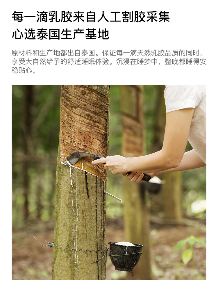 淘宝心选 泰国原产 5cm厚乳胶床垫 93%天然乳胶 1.5m 图2