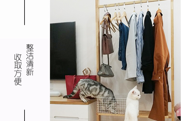 Giá treo áo gỗ nguyên khối Walnut Bắc Âu móc treo sàn phòng ngủ phòng khách đơn giản hiện đại mới kiểu giày Trung Quốc - Kệ kệ sắt để chậu hoa