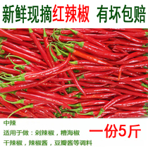 Guizhou red-line pepper two jingtiao fresh farm vegetables are picked and found in spicy pickled pepper chopped pepper bean petal 5kg