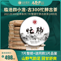 Golden Yunhe 2021 new tea ancient 300 busy lung ancient tree tea cake Puer tea raw tea 2499g Yunnan seven seed cake