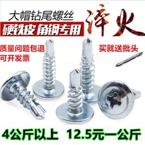  Galvanized large flat head drill tail screw Self-tapping self-drilling screw dovetail nail color steel tile iron self-power screw M4 2