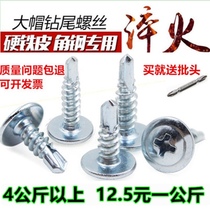 Galvanized large flat head drill tail screw Self-tapping self-drilling screw dovetail nail color steel tile iron self-power screw M4 2