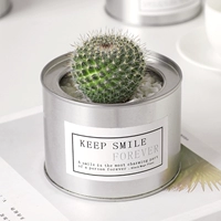 Yu Weng -silver Tank [Crown Wall 4-5 см]