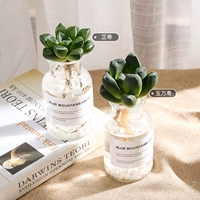 (（-Uwanshou) Отправить гидравлическую бутылку*2+мрамор