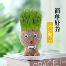 Head long grass potted creative grass doll to grow a plant with small potted plants watering the hair of the head of the head