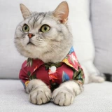 Шнурок-держатель, тонкая летняя одежда, летняя рубашка, популярно в интернете