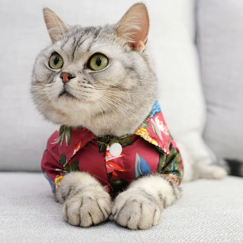 Шнурок-держатель, тонкая летняя одежда, летняя рубашка, популярно в интернете