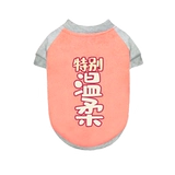 Кошачья одежда осенняя одежда весенняя одежда осень и зима милый синий кот анти -фар -меховой котен