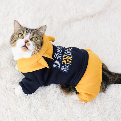 КОТЛИНАЯ ОБЕСПЕЧЕНИЯ ОСВЕНЬЯ АНТИ -МАО YINGMEI Короткий осень зимний зимний голубой кошачий кот кошачий кот плюшевый медвежь