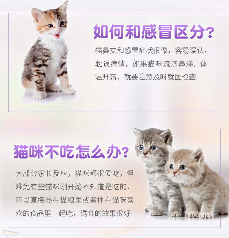 Bijing catamine lysine cat ammonia bột mèo mũi taurene điều hòa hắt hơi nước mắt viêm mũi lạnh 10 gói - Cat / Dog Health bổ sung sữa mèo