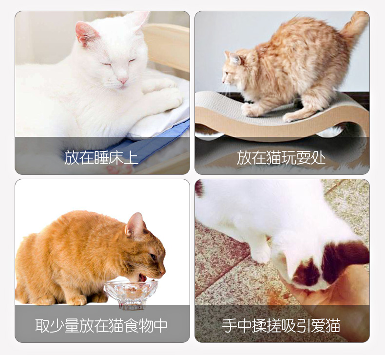 Catnip Loại trừ bóng tóc Làm sạch bằng miệng Mèo Bạc hà Bột cỏ Thúc đẩy quá trình tiêu hóa Cat Grass Cat Snack Cat Cung cấp - Đồ ăn nhẹ cho mèo royal canin mèo