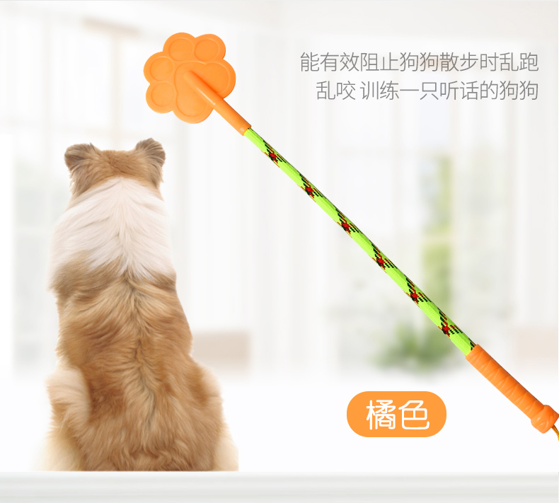 Chó cưng huấn luyện chó cung cấp chó thích đánh chó - Cat / Dog hàng ngày Neccessities Khay thức ăn cho mèo