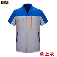 (Лучшая модель) Янлан боевой светло -серый сольный топ