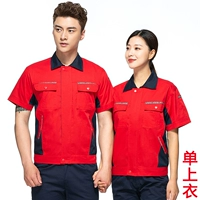 (Deluxe Edition) Большой красный тибетский синий воротниц.