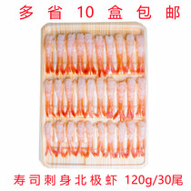 Japan-style sashimi Arctic sweet shrimp 30 tail plate 120g Go shell to head sweet shrimp ready-to-use sushi Arctic shrimp sashimi