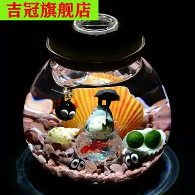 Hydroponic plant diy table white male girlfriend happy seaweed ball micro-View fish ecological bottle birthday girlfriends gift