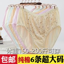 6-pack extra large size fat mm panties Fat old man shorts for the elderly briefs loose large size pure cotton printing
