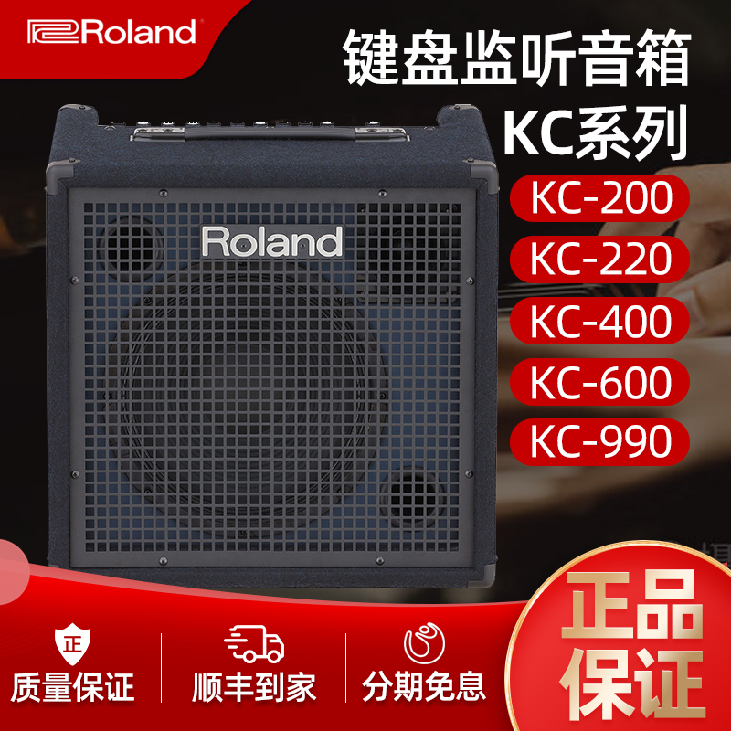 Roland Roland Audio KC200 220 400 600 Outdoor Portable Pro Performance Keyboard Monitor Speaker