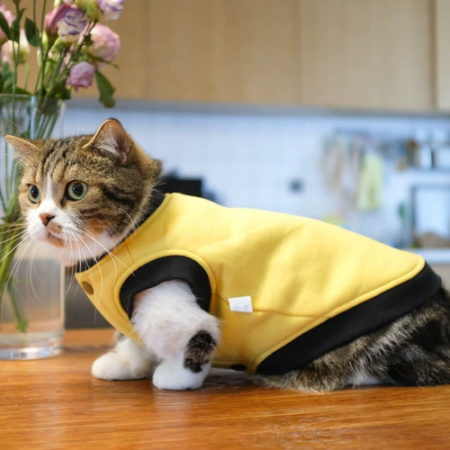 Специальный осенний костюм для домашних животных для домашних животных для домашних животных, чтобы предотвратить выпадение волос в волосах, короткая голубая кошка, одежда котенка котенка