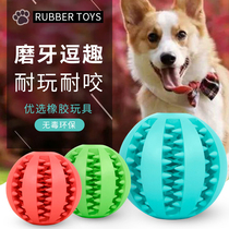 Dog toy bite-resistant rubber ball Teddy Corgi puppy puppy molar dog ball large dog golden retriever German toy