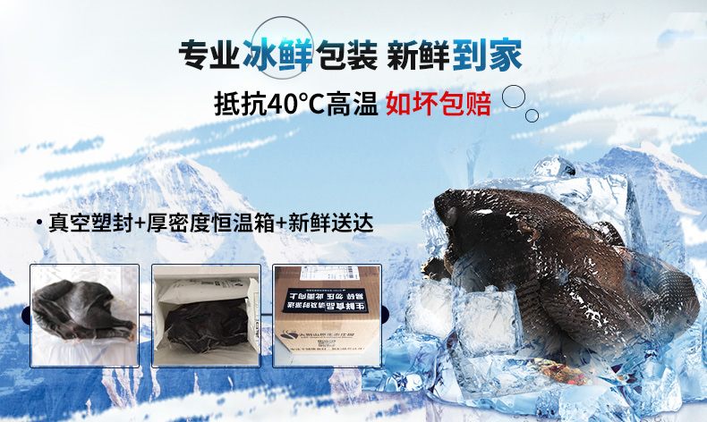 缘琳山 大别山散养 金蝉乌骨鸡 净重 2斤 图2