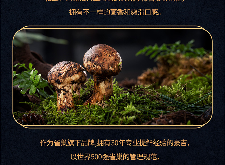 【拍两件更划算】豪吉松茸鲜调味料50g