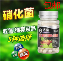 Ultra-concentrated nitrobacteria bacteria probiotic aquatic nitrobacteria capsule cleaning water purifying water digestible bacteria