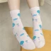 Vớ cotton ống xanh Zixin mùa xuân và mùa thu vớ nữ vớ cotton ống vớ nữ vớ bốn mùa vớ cotton thể thao tất nữ cổ ngắn dễ thương Bít tất nữ