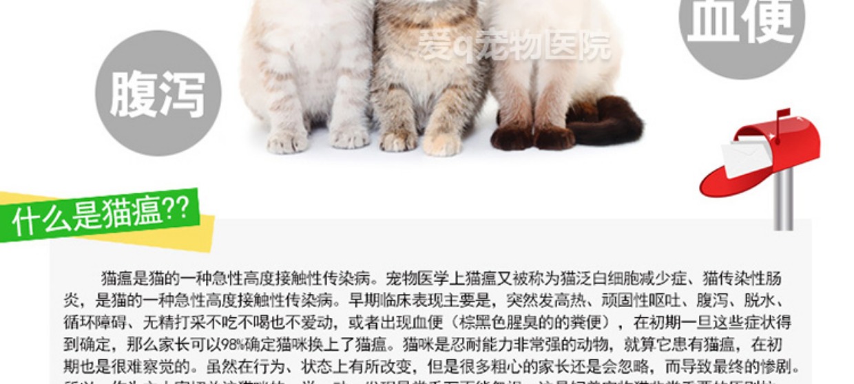 Hàn Quốc Anjie Mongoose Test Paper Cat Leukopenia Cat Hot Test Paper FPV 36 nhân dân tệ / cái - Cat / Dog Medical Supplies kim tiêm cho chó