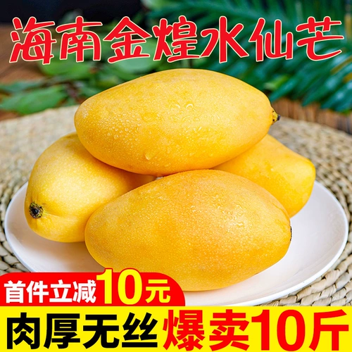 Hainan Shuixian Mang 10 фунтов теперь выбирайте свежую тропическую большую милую манго, золотой, золотой водяной фрукты манго