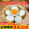 Товары от 二帅旗舰店
