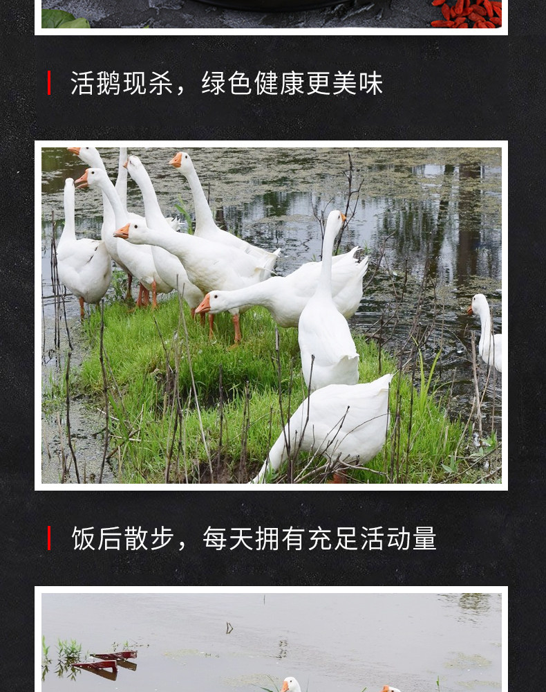 农家散养大鹅 净重7斤 现买现杀 保留内脏 图8